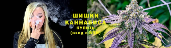 стафф Волосово