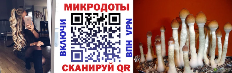 Галлюциногенные грибы Psilocybine cubensis  Верхняя Пышма 